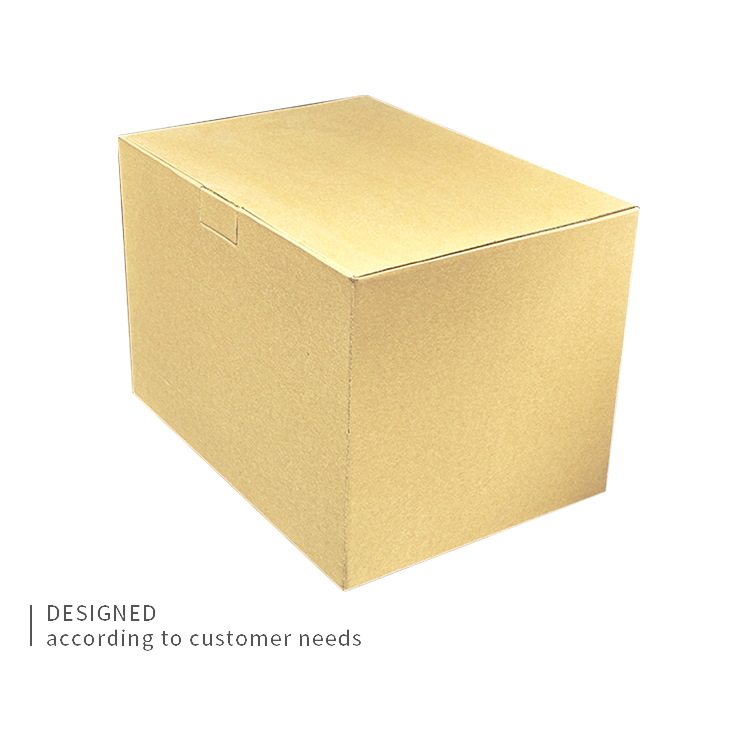 Corrugated cardboard box sample