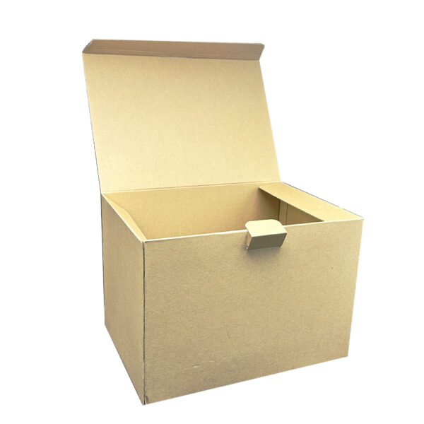 Recyclable packaging Carton