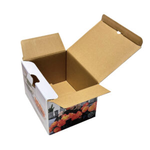 Glass food storage box tableware packaging box