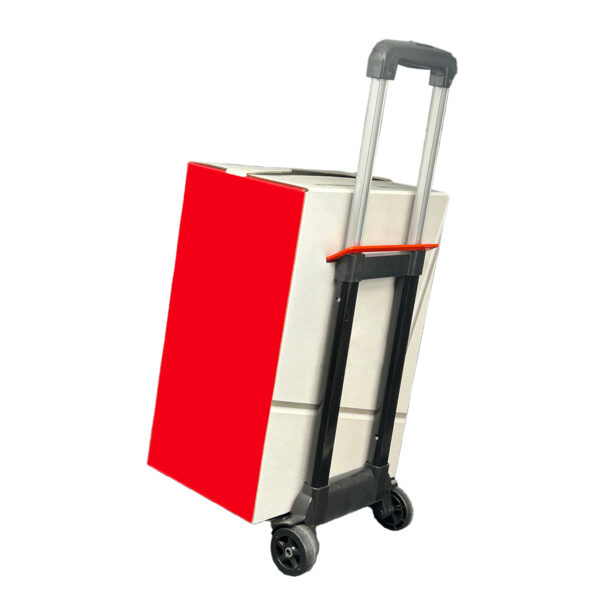 Carton with pull rod