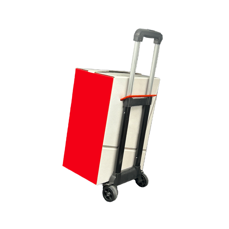 Carton with pull rod