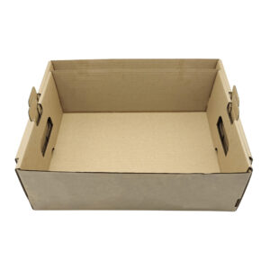 Fruit Packaging Handheld Paper Tray
