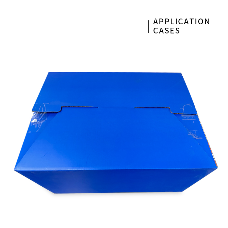 Goose down slipper packaging box