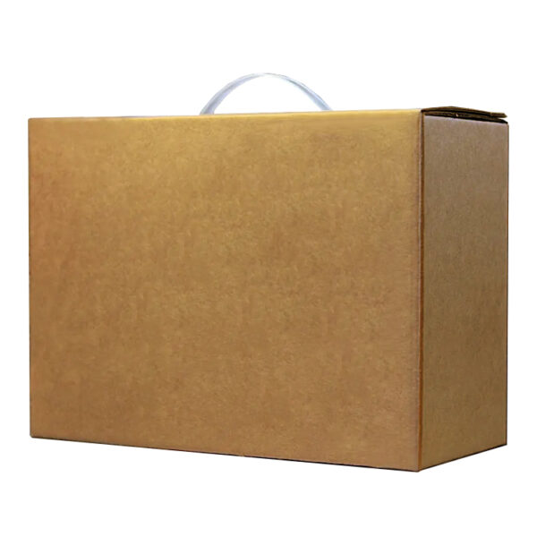 Lock head packaging box