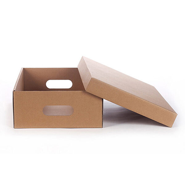 Fruit Packaging Handheld Paper Tray - Image 7