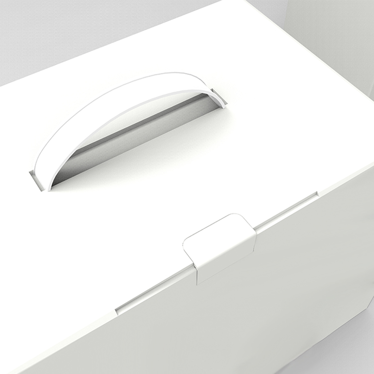 Packaging box with plastic handle