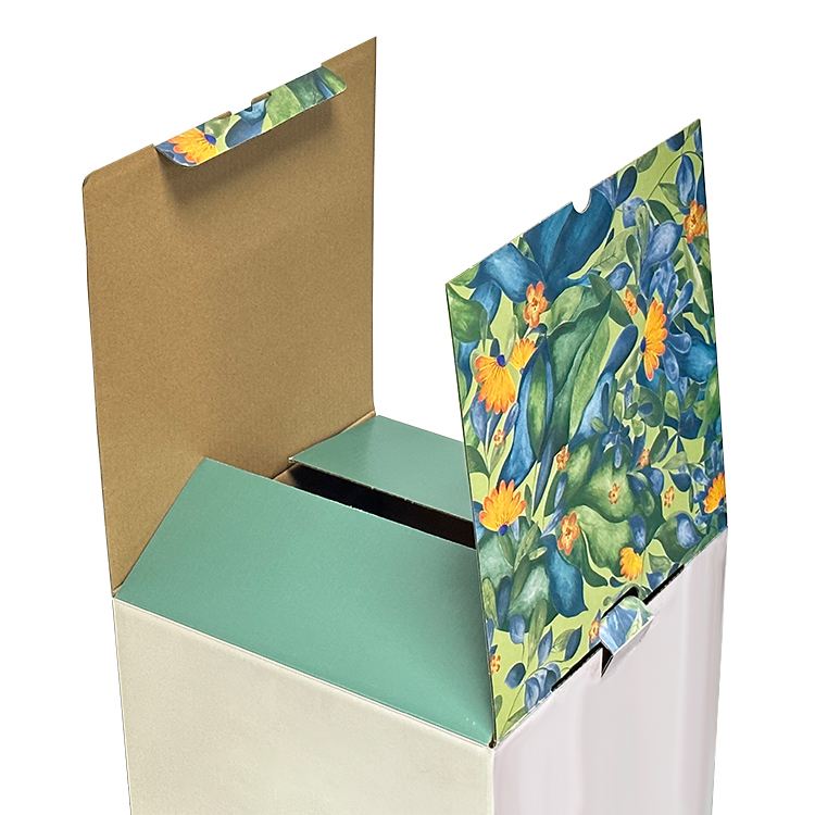 Plate Colored Packaging Carton