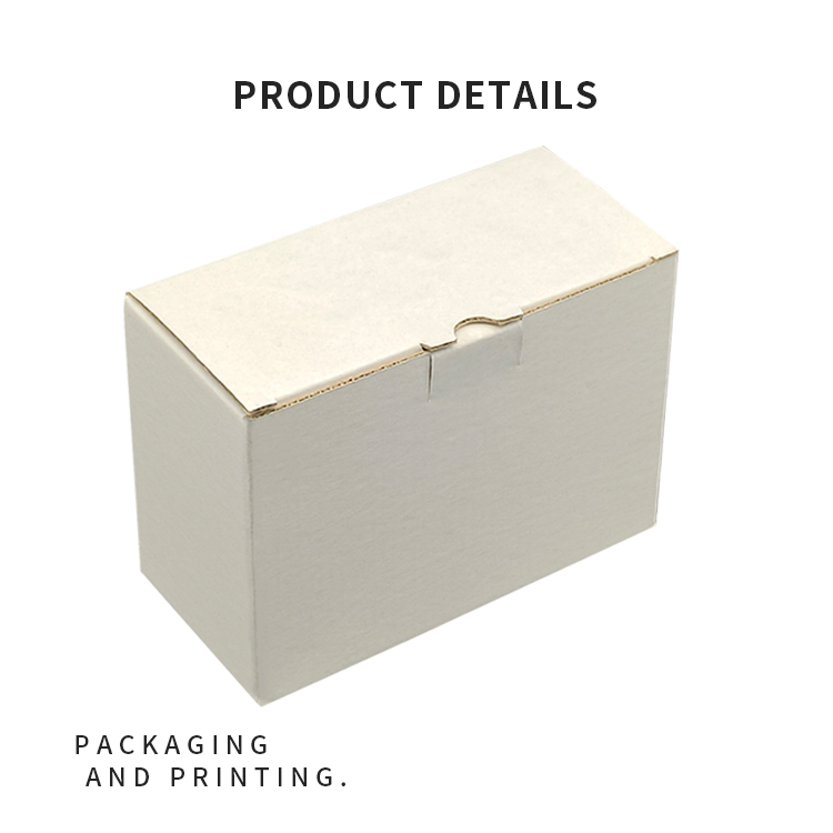 Camera packaging box