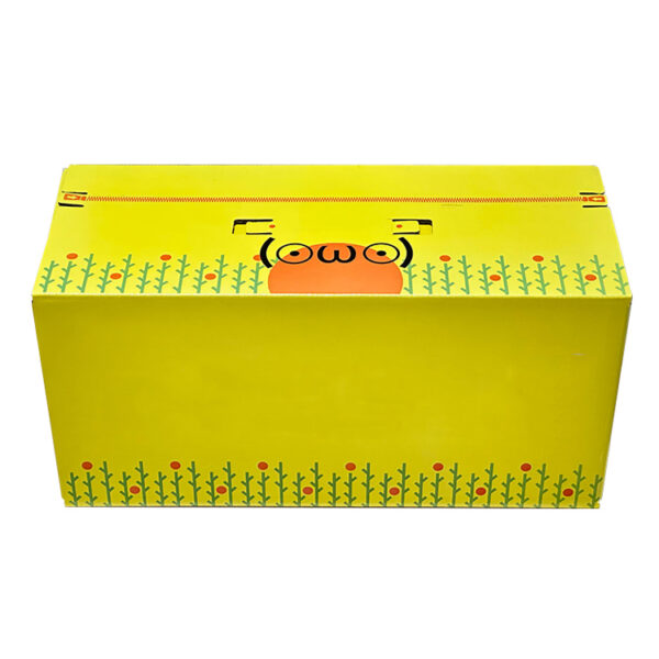 Citrus packaging cardboard box
