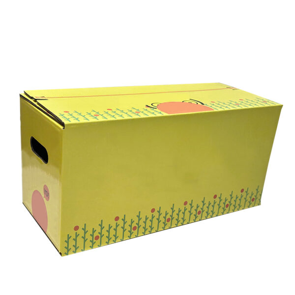 Fruit packaging cardboard box