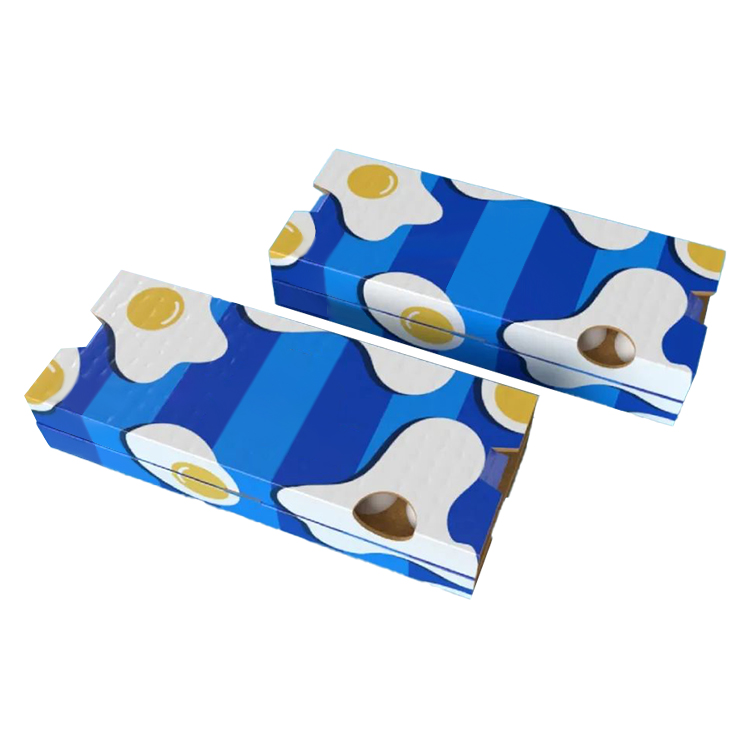 Goose egg packaging box