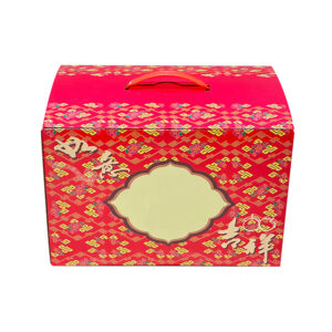 Packaging cardboard box with plastic handle