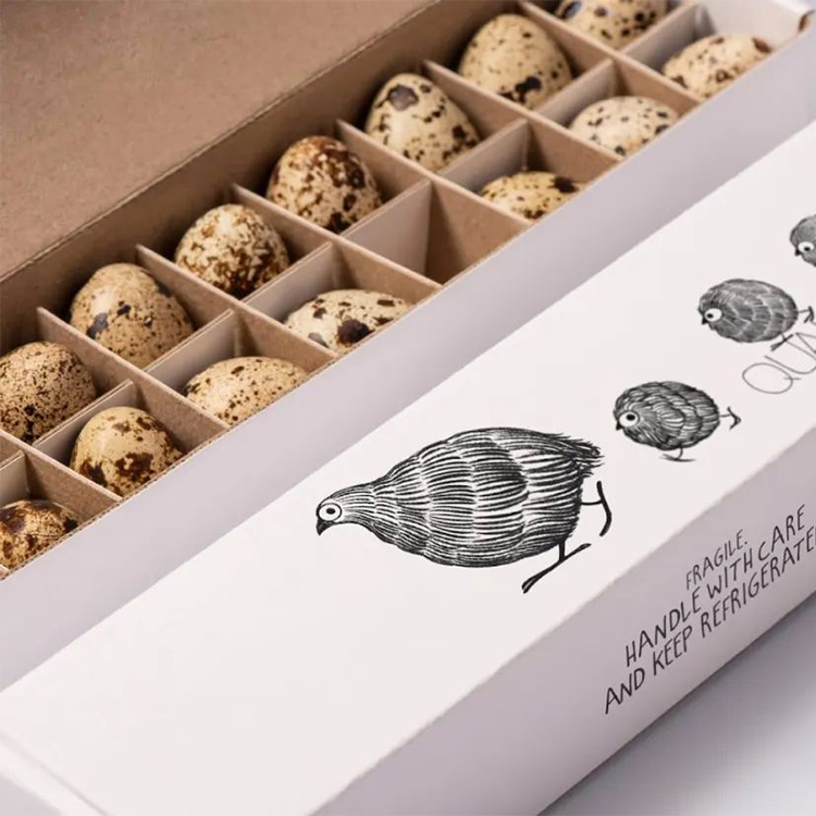 Pigeon egg packaging box