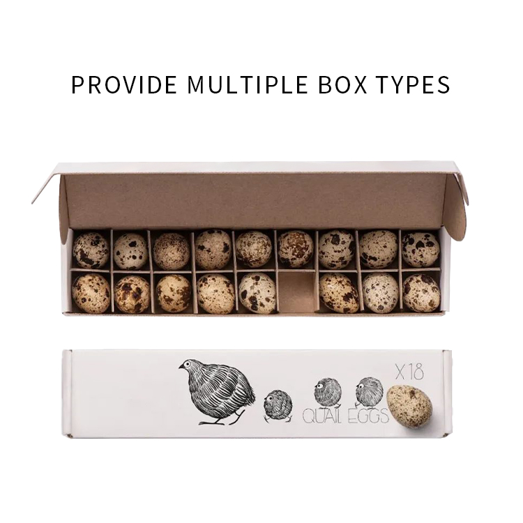 Quail egg packaging box