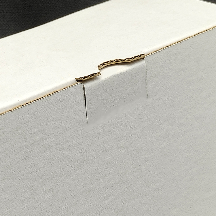 White packaging box