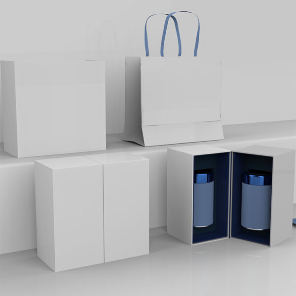 Double door packaging box