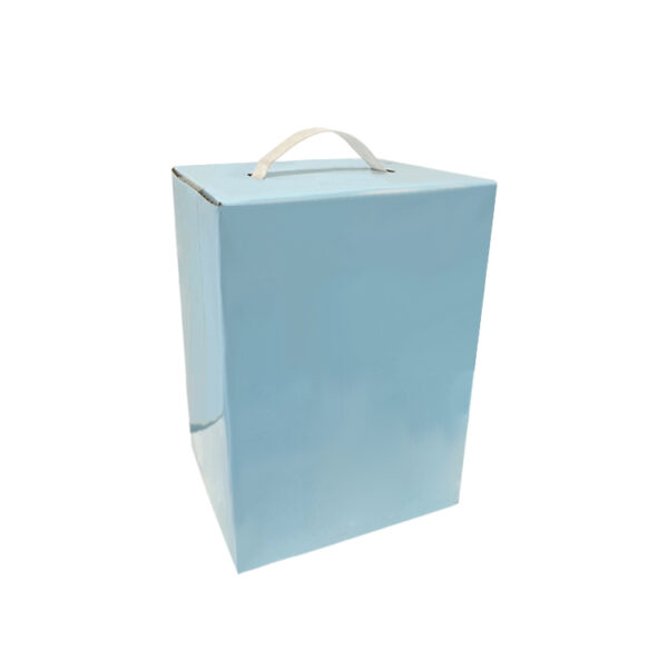 Handheld cardboard box