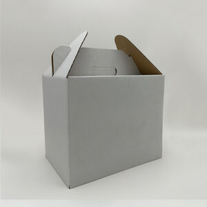 Handheld paper box