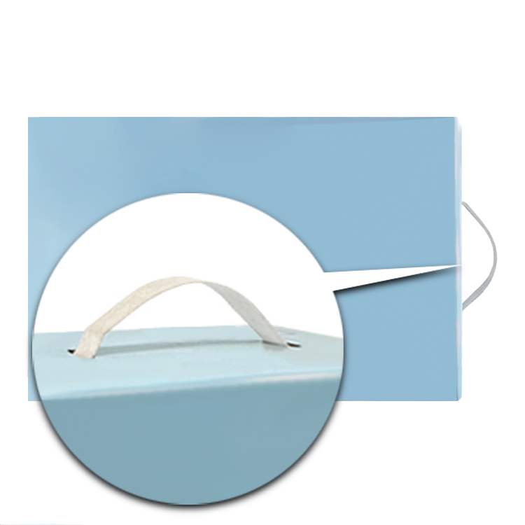 Packaging box with plastic handle