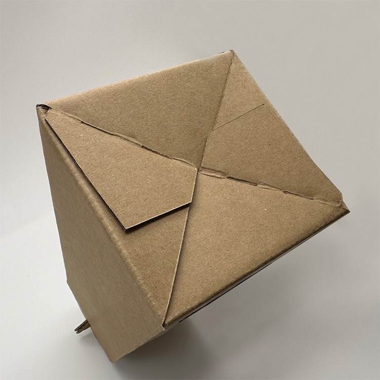 Portable wine box