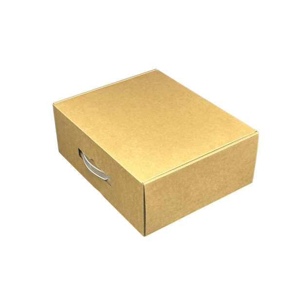 Corrugated cardboard box with plastic handle