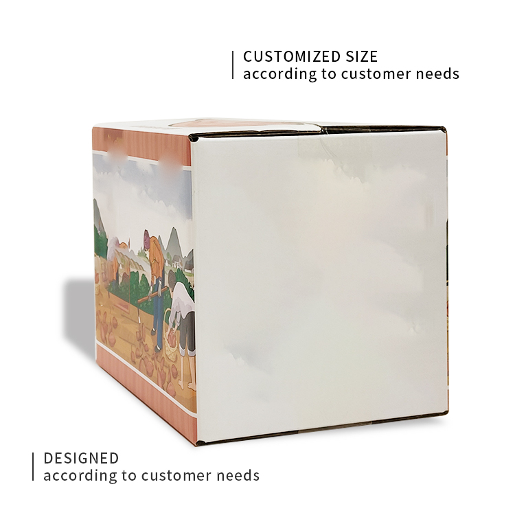 Fruit packaging cardboard box