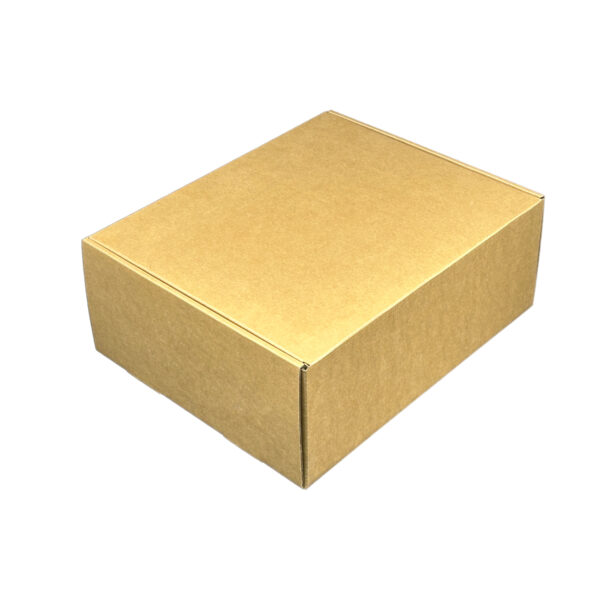 Handheld corrugated cardboard box