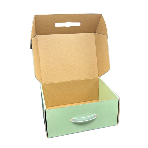 Massage apparatus packaging box with plastic handle