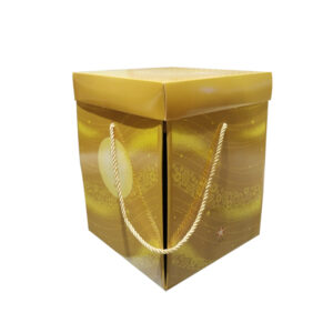 Rectangular packaging box