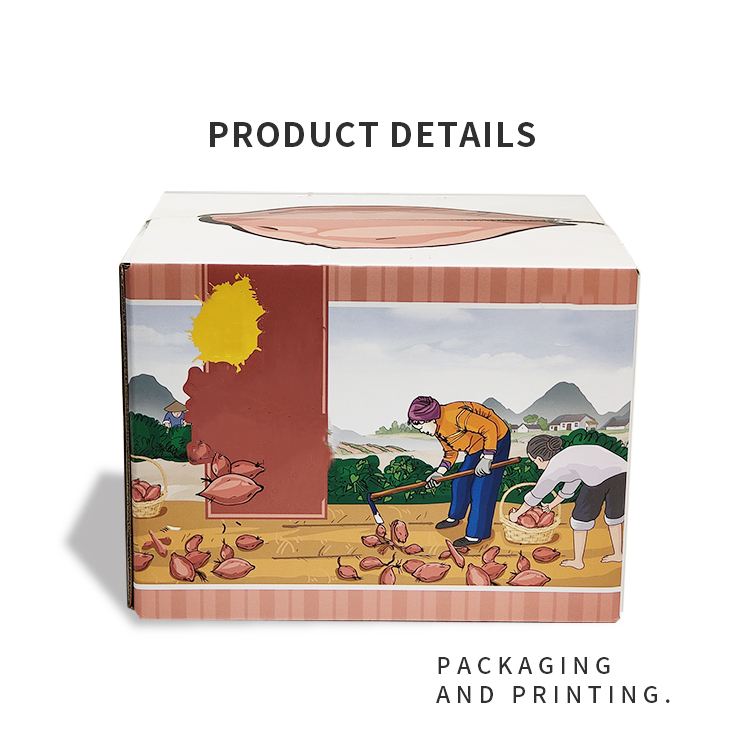 Vegetable packaging cardboard box