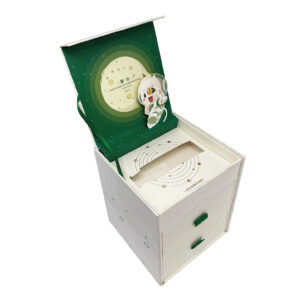 Aerospace themed gift box