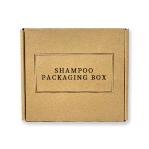 Corrugated paper airplane box