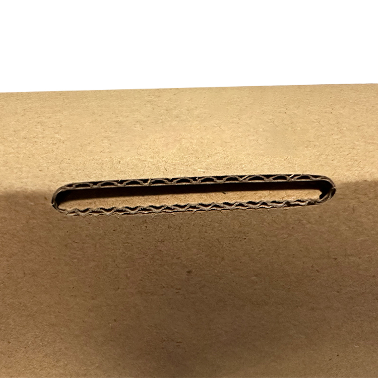 Shampoo packaging box