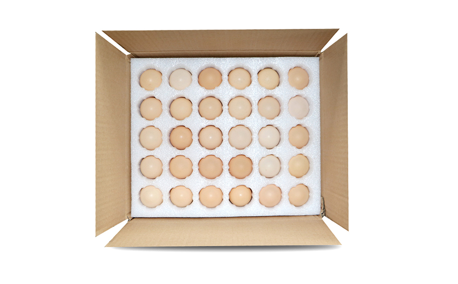 Egg packaging cardboard box