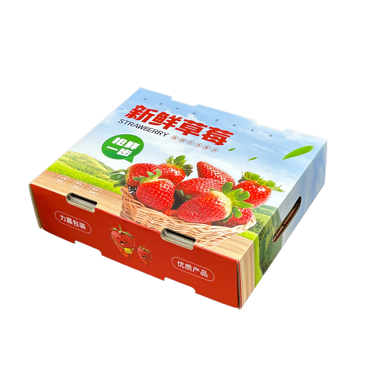 Fruit packaging boxes