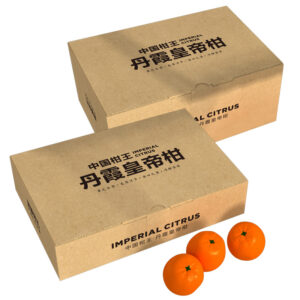 Orange packaging cardboard box