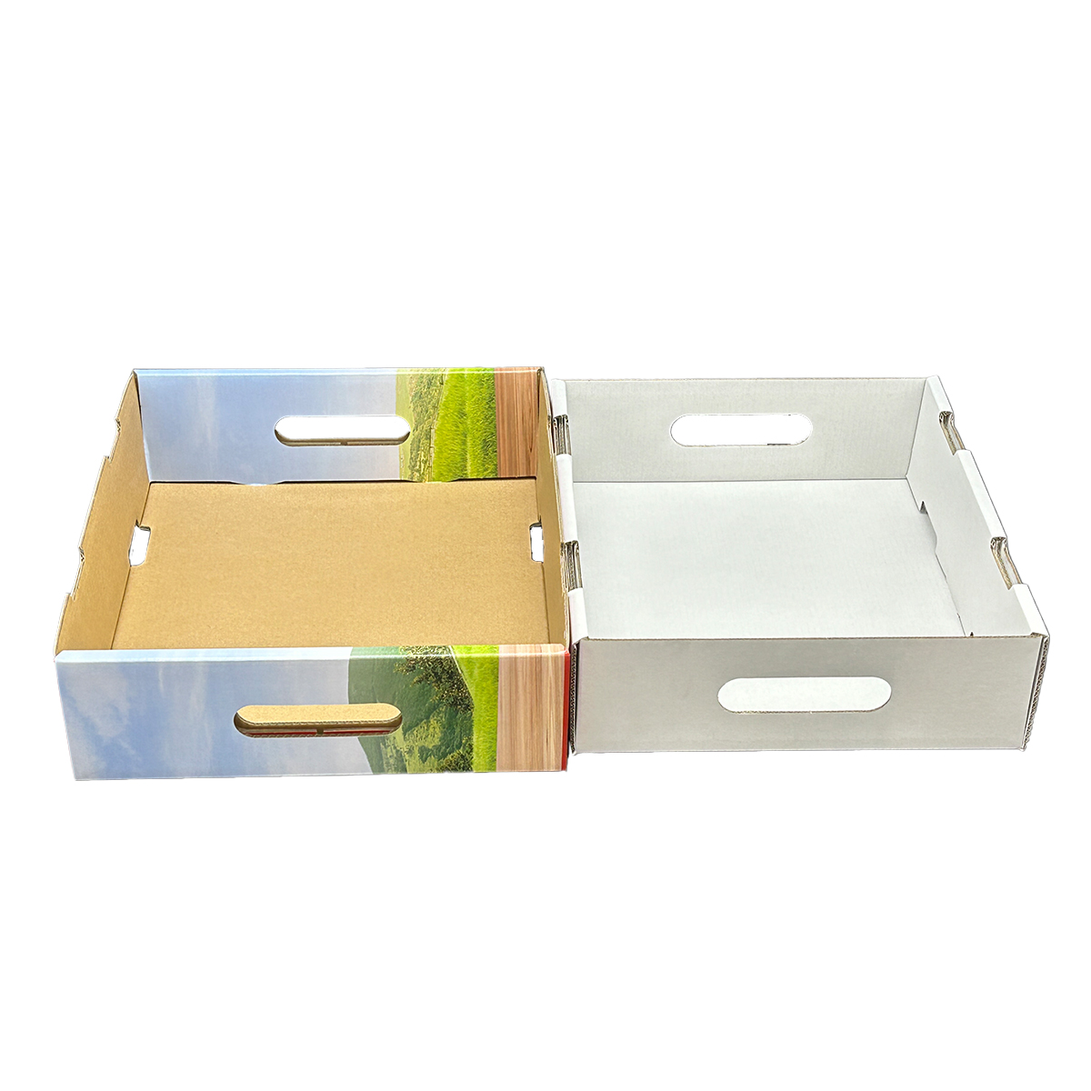 Strawberry packaging box