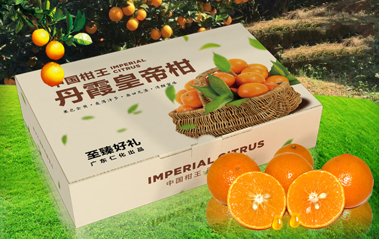 Sugar Orange Packaging Box